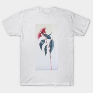 Red Gumnut flower Stem T-Shirt